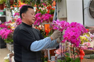 装饰花卉走俏节前市场 李村大集销售旺