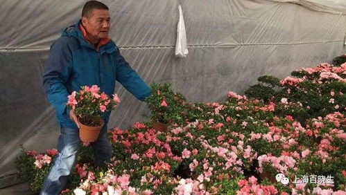 上海市中心最大花鸟市场即将关闭 别担心 还有这些可以去