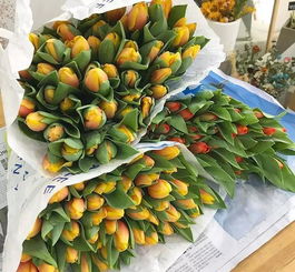 奇梅花道 七夕将至, 花价 这道抛物线函数题你会做吗