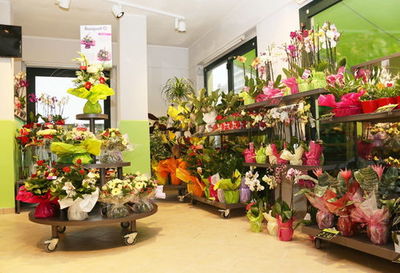 怎么加盟花店直播(加盟花店赚钱吗)