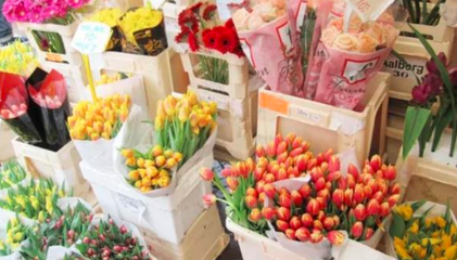 铁西鲜花店