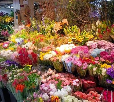 选购年宵花,来这些花卉市场