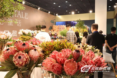 CFIC中花大会开幕,花卉贸易展点亮无锡"花经济"