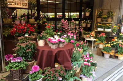 花店加盟一般多少加盟费