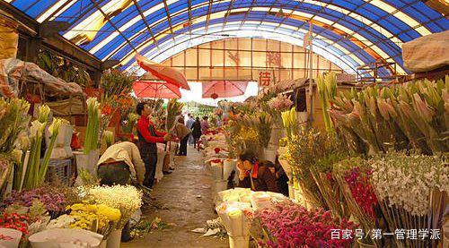 广州 荷花 蚊帐厂, 绝地重生 之路 整合营销纪实案例