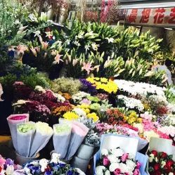 朝来春花卉市场电话, 地址, 价格, 营业时间(图)-花店-北京购物-大众点评网