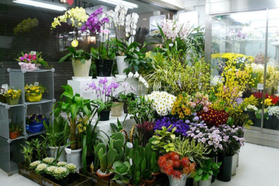 鲜花连锁店加盟有哪些