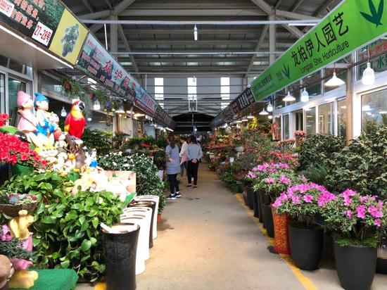 花卉市场帮维修手机,慢慢的近来好多市场人流量增加了