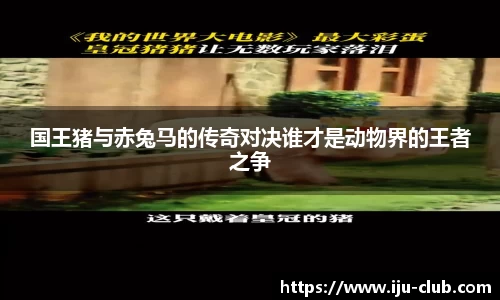 JN体育
