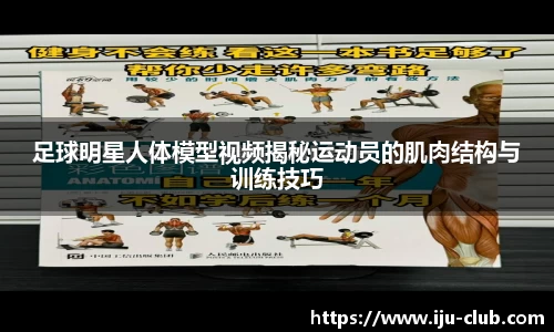足球明星人体模型视频揭秘运动员的肌肉结构与训练技巧