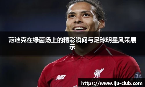 范迪克在绿茵场上的精彩瞬间与足球明星风采展示